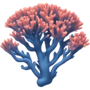 Coral sticker
