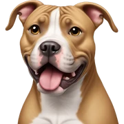 Pitbull like seal  sticker