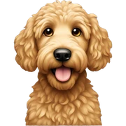 Golden doodle that’s black sticker