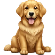 Golden retriever sitting sticker