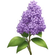 Lilac plant sticker