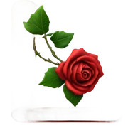 Journal with red rose sticker