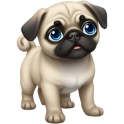 Baby pug with big blue eyes  sticker