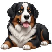 Berner sennenhund sticker