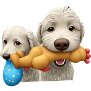 dog enjoying the outdoors day sticker