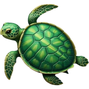 turtle sticker