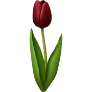 Dark red tulip sticker