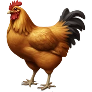 chicken sticker
