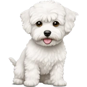 white maltipoo sticker