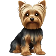 Perro yorkshire terrier pelo oscuro  sticker