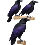 Two ravens sticker