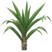 Yucca sticker