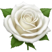 White rose sticker