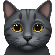 dark grey cat  sticker