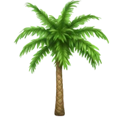 palm tree sticker