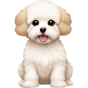 Perrito maltipoo con moños cute sticker