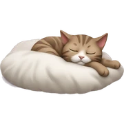 Cat sleep sticker