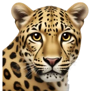 Cuore leopardato sticker