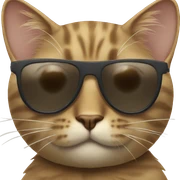 Cat with sunglasses sticker