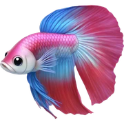 Betta fish sticker