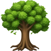 tree sticker