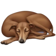 Brown Greyhounds sleeping sticker