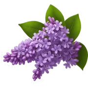 lilacs sticker