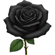 Black rose sticker