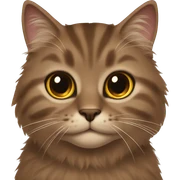 brown fluffy cat brown eyes sticker