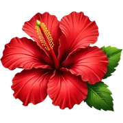 Hibiscus  sticker