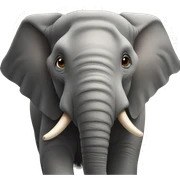 Elephant sticker