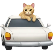 car cat sticker