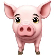 Pig sticker