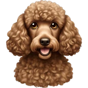 brown poodle sticker