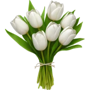 White tulip bouquet  sticker