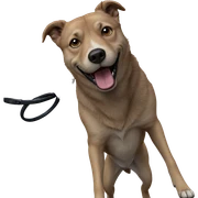 dog displaying playful expression sticker
