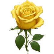 Yellow rose sticker