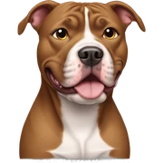 Pitbull sticker
