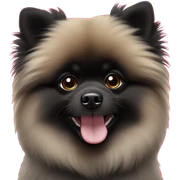 black pomeranian sticker