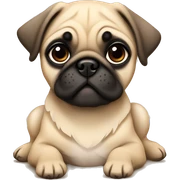 Fawn pug puppy laying sticker
