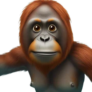orangutan swimming  sticker