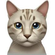 cat sticker