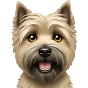 Cairn terrier  sticker