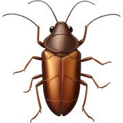 Cockroach sticker