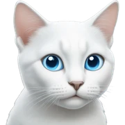 White cat with blue eyes sticker