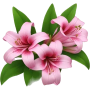 Pink lilie flowers  sticker