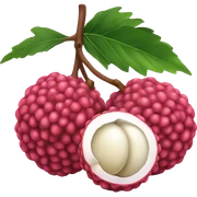 Lychee sticker