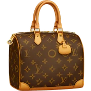 Louis Vuitton bag sticker