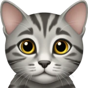 Gray tabby kitten sticker