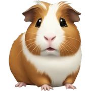 Guinea pig sticker